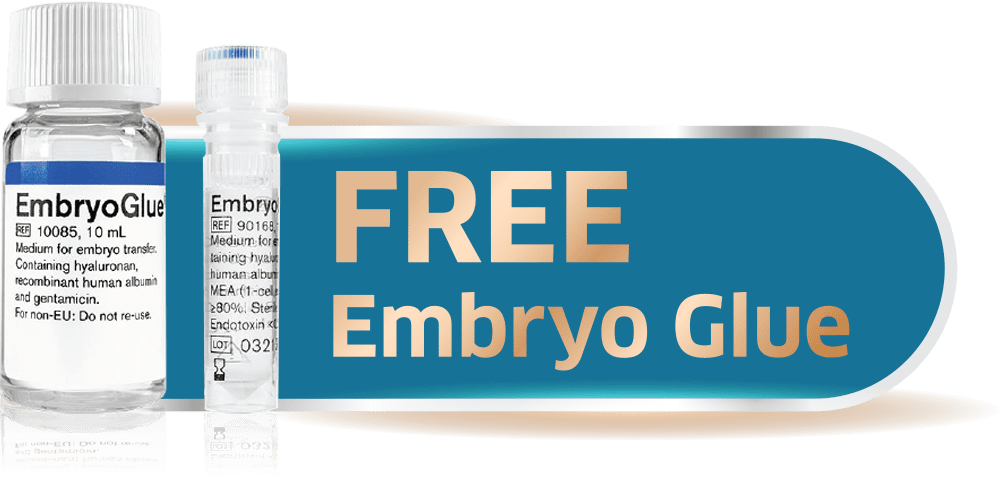 free embryo glue