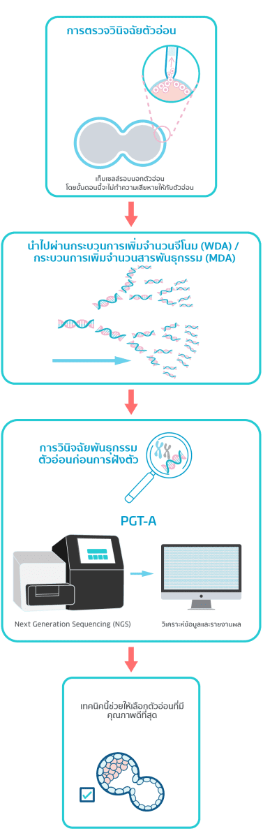 Next Generation Sequencing (NGS)