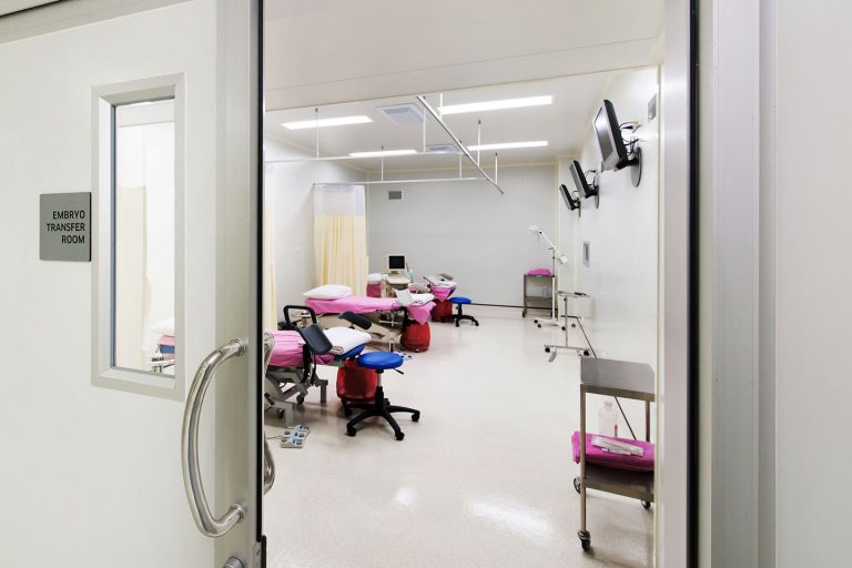 Embryo Transfer Room