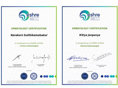 About Superior A.R.T.