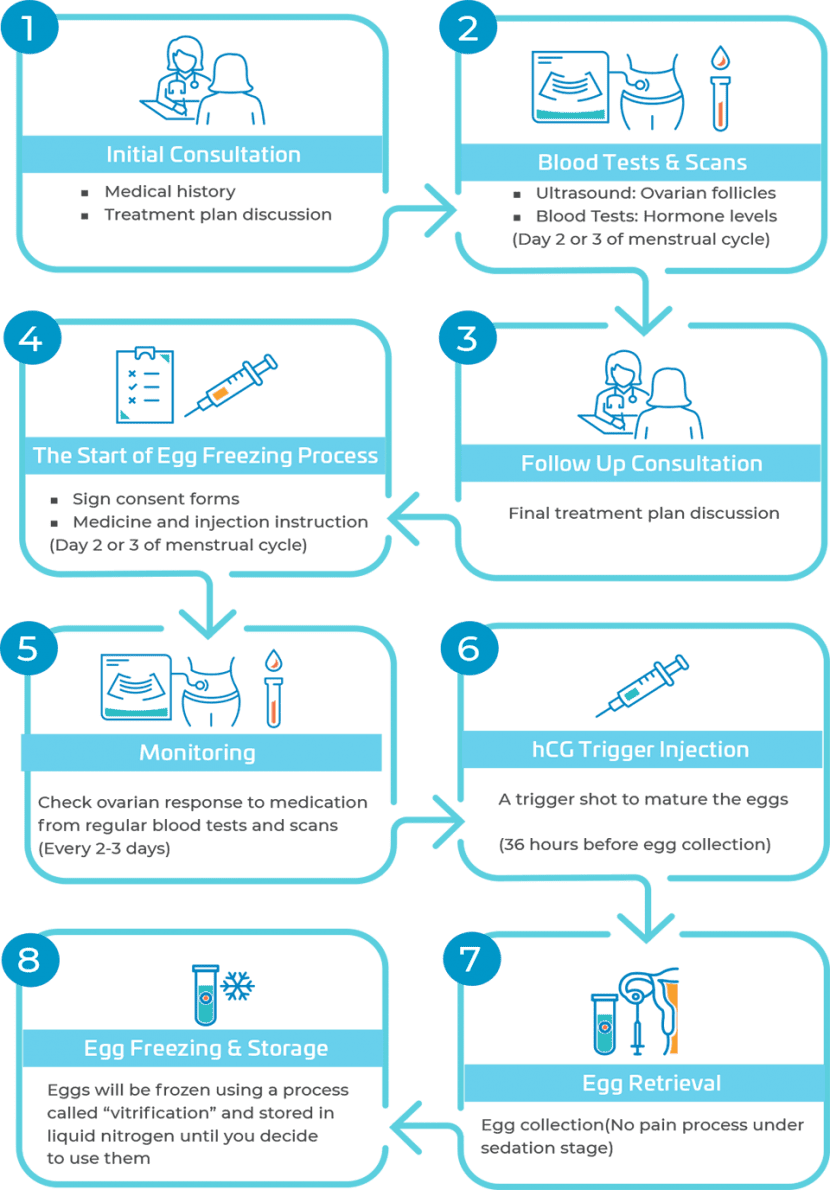 Egg Freezing Process