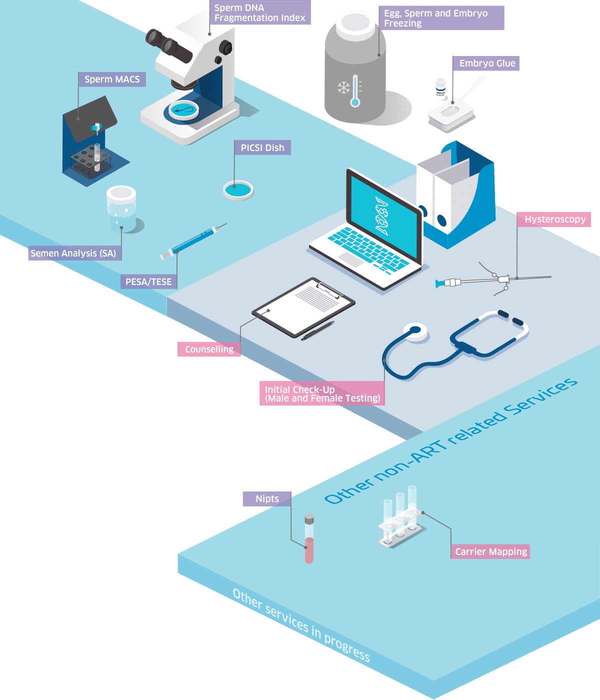 additional fertility services offered